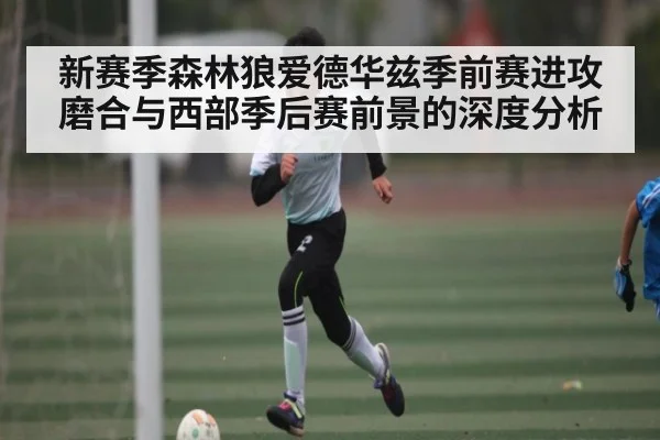 新赛季森林狼爱德华兹季前赛进攻磨合与西部季后赛前景的深度分析